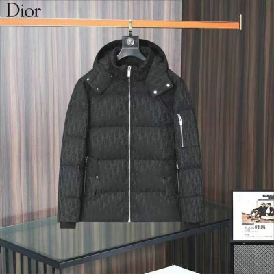 2025 dior donsjas heren N2302074