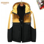 2025 hermes donsjas heren N2263591