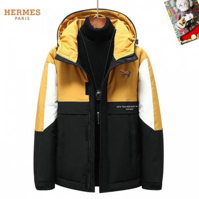 2025 hermes donsjas heren N2263591