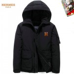 2025 hermes donsjas heren N2263600