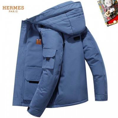 2025 hermes donsjas heren N2263602