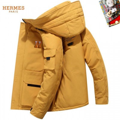 2025 hermes donsjas heren N2263604